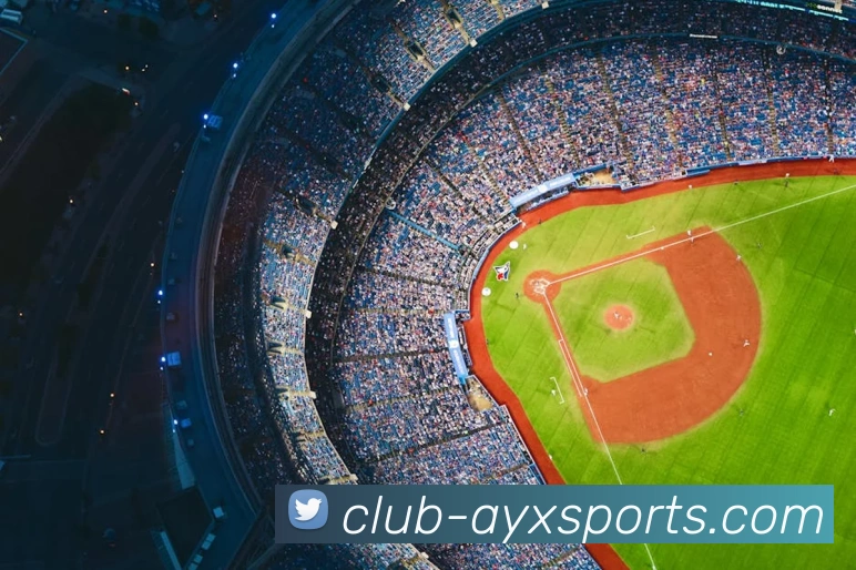 爱游戏体育平台生态图